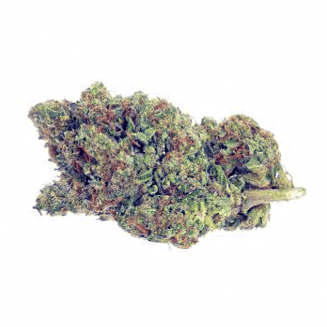 Black Garlic Gelato | 23% THC-A