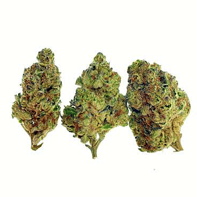 Grandiflora Guava | 26% THC-A