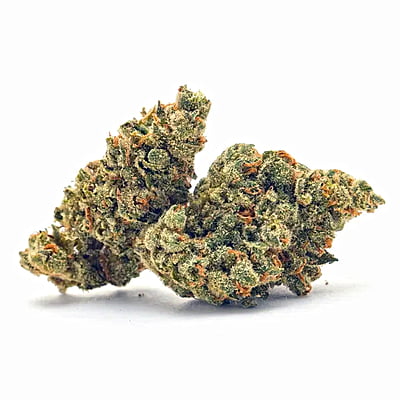 Peach Crescendo | 26% THC-A