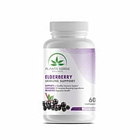 Elderberry Immune Support