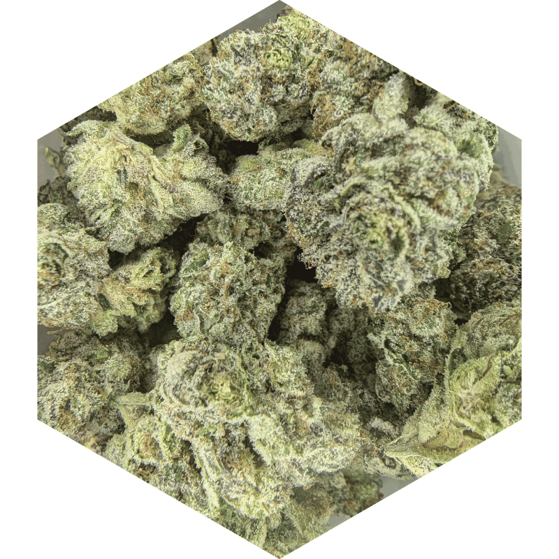 Skywalker Haze | 26% THC-A Skywalker Haze | 26% THC-A