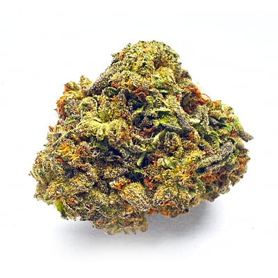 Oreoz | 25% THC-A | 1 lb