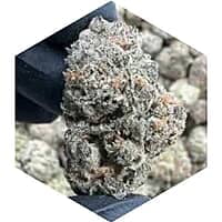 Cherry Runtz | 26% THC-A | 1/4 lb