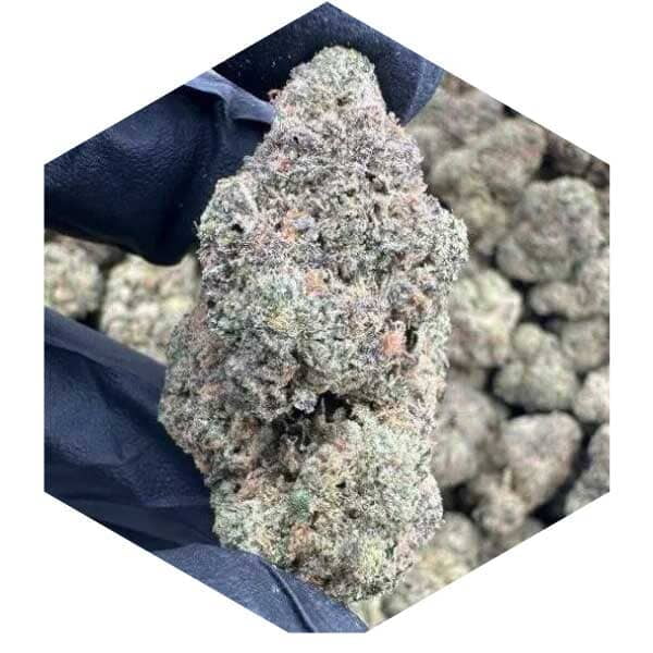 Rainbow Z | 25% THC-A | 1/4 lb